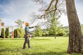 Best Storm Damage Tree Cleanup  in Patton Village, TX