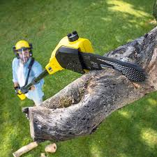 Best Tree Mulching Services  in Patton Village, TX