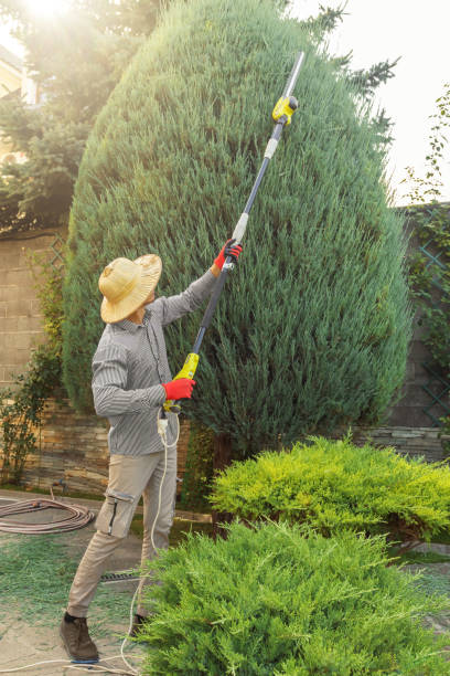 Best Commercial Tree Services  in Patton Village, TX